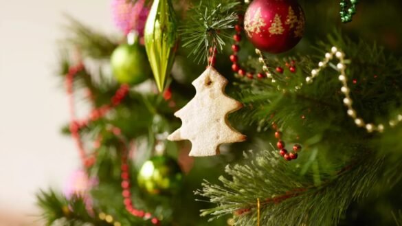 Top 10 de los árboles de Navidad más lujosos que se venden en Santa Marta