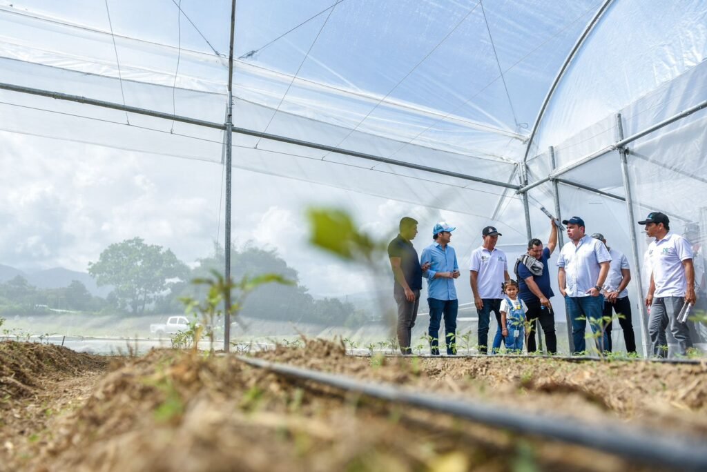 Agricultores de la Sierra amplían su huerta y estrenan invernaderos