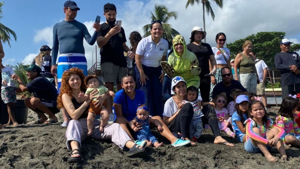 En playas de Mendihuaca 70 tortugas marinas son liberadas de vuelta al océano