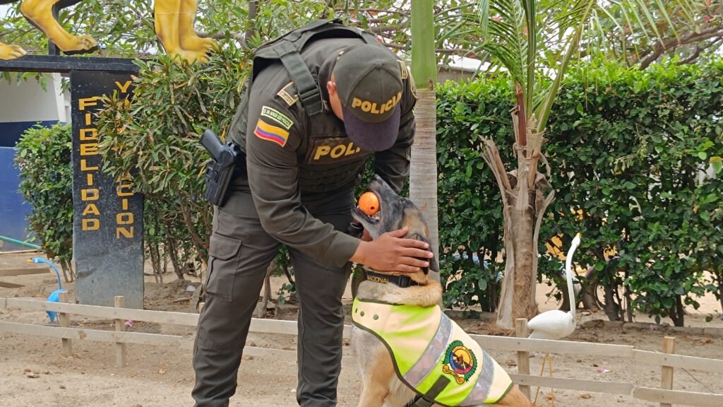 FOX:  La perrita policía que lucha contra el narcotráfico