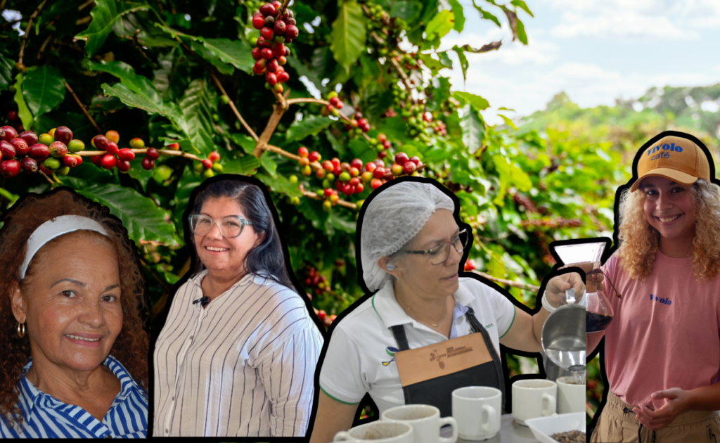 El café de la Sierra Nevada en manos de mujeres
