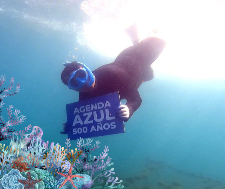 Así se vivió el día de los arrecifes de coral en Santa Marta