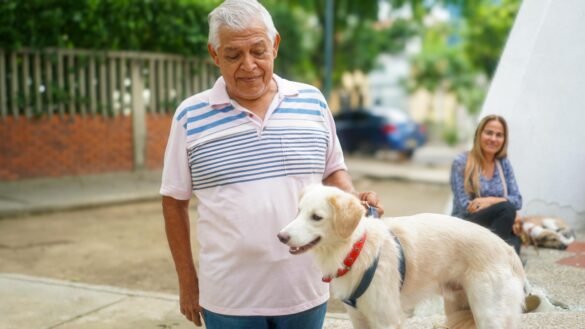 La esterilización de mascotas es un acto de bienestar animal