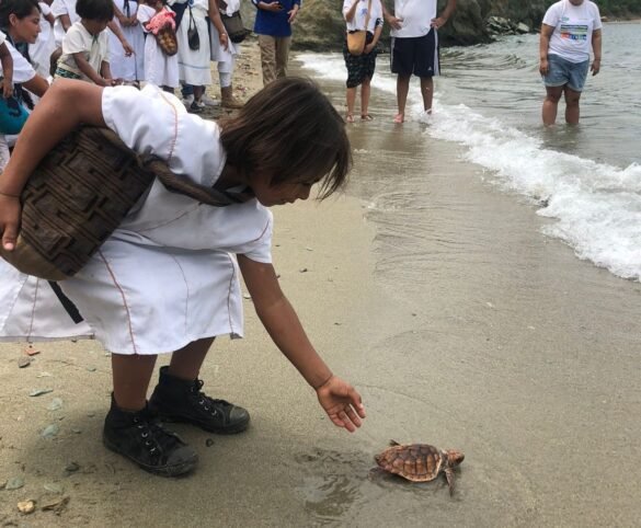 Corpamag llevó a cabo una significativa jornada educativa y ambiental en el Centro de Rescate de Fauna Marina
