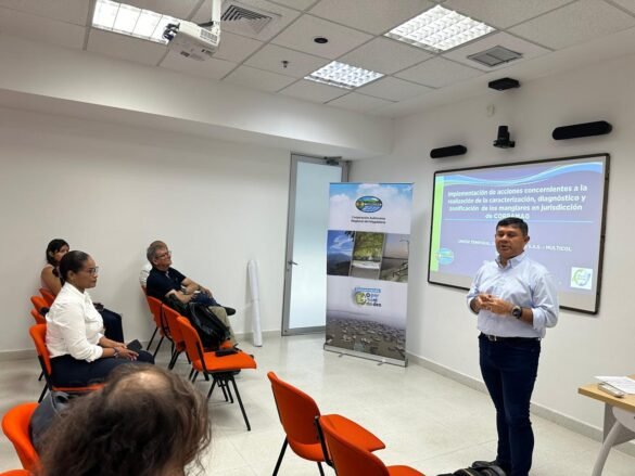Esta estrategia busca proteger el medio ambiente e involucrar a las comunidades locales en la gestión y cuidado de los manglares.