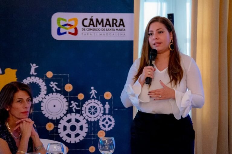 Desafíos del comercio en Santa Marta: inflación e inseguridad obstáculos clave