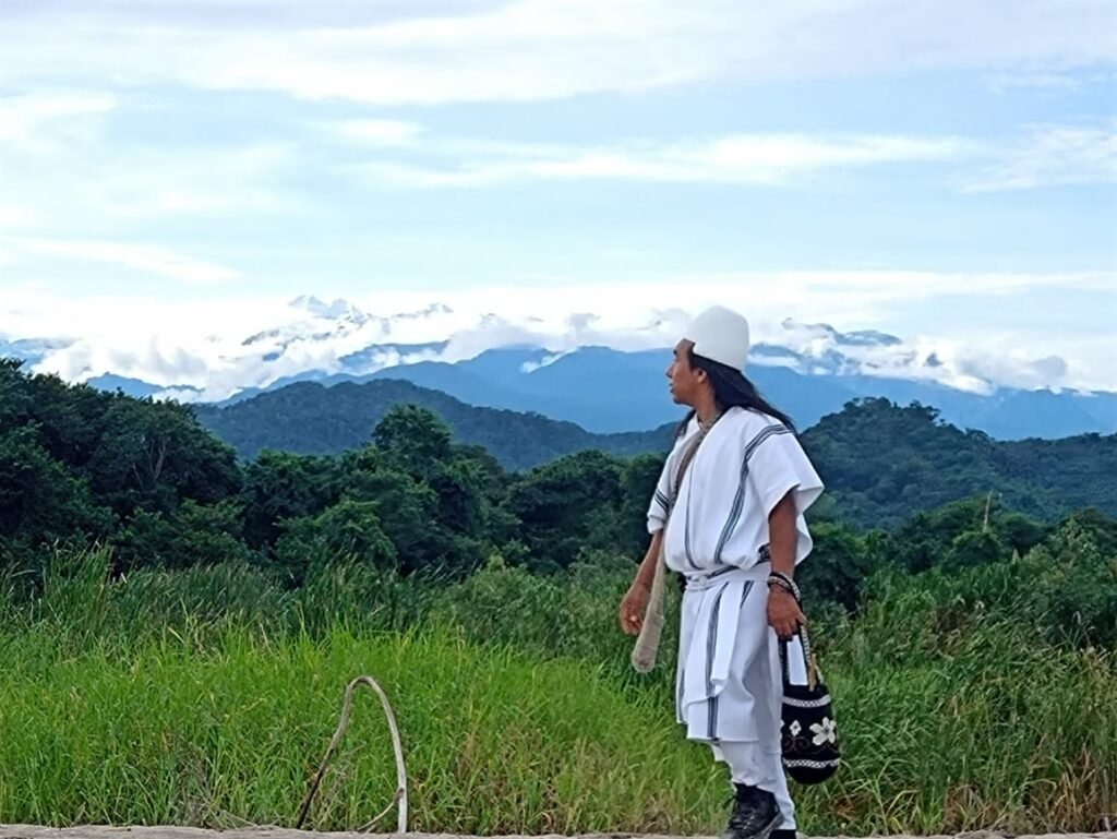 Autoridades ambientales indígenas: ¿reivindicación ambiental o declaración vacía?