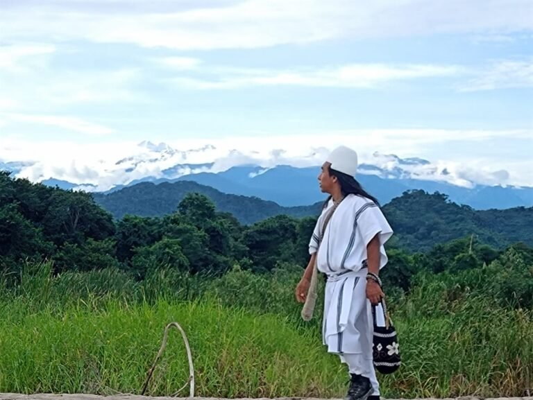 Autoridades ambientales indígenas: ¿reivindicación ambiental o declaración vacía?