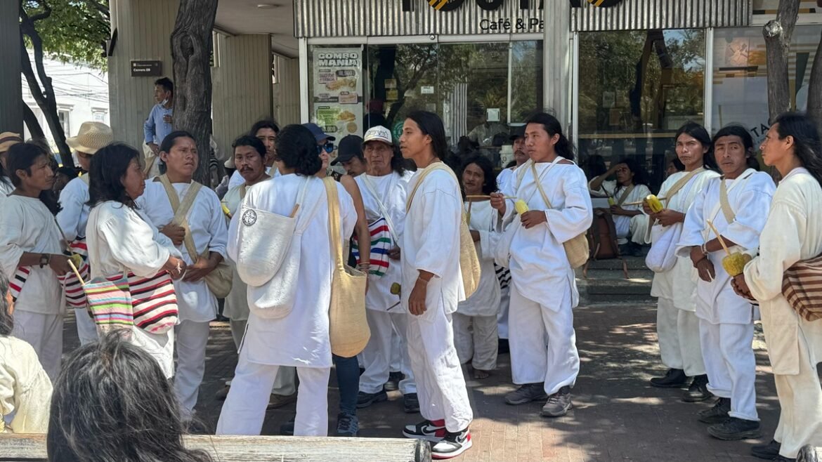 kogui La comunidad Kogui enfrenta una disputa jurídica en la que dos personas aspiran al reconocimiento como cabildo gobernador del Resguardo Kogui.