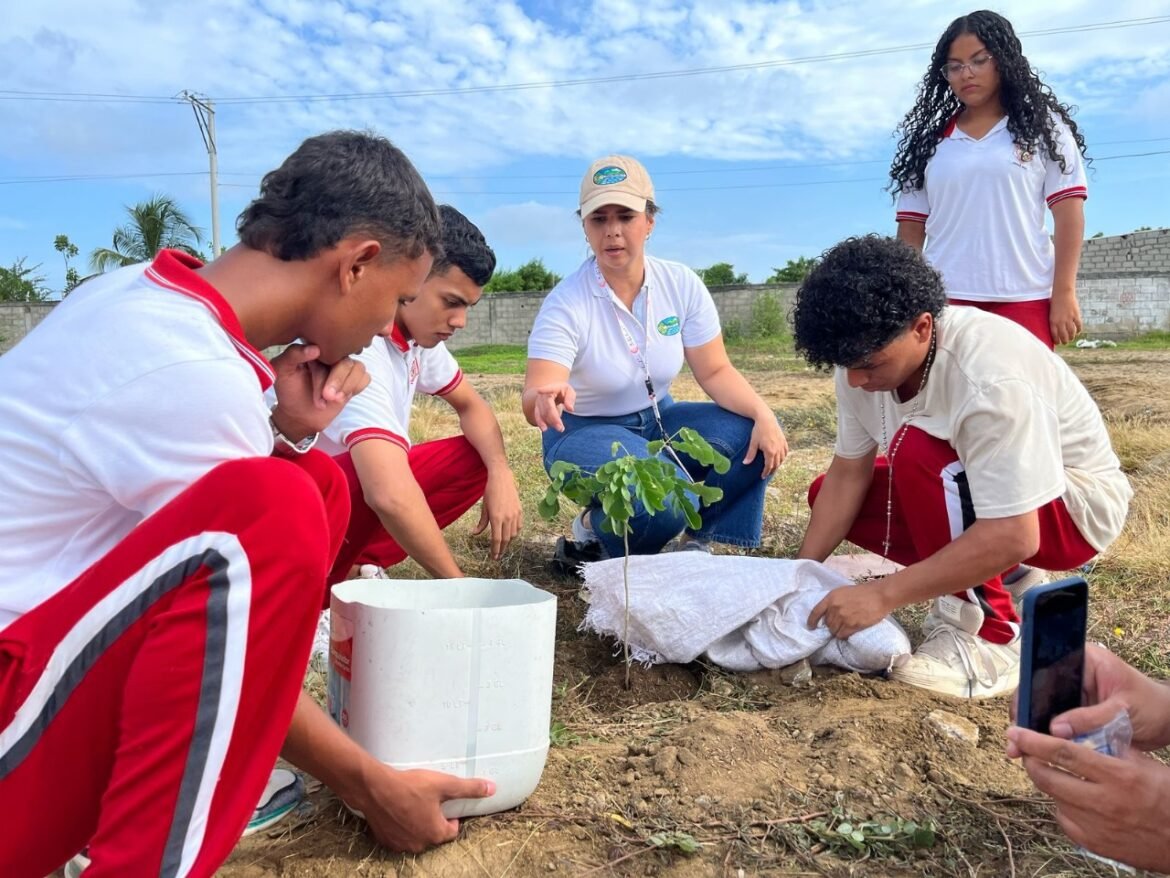 Corpamag SIEMBRA DE ARBOLES Corpamag fomenta la siembra de árboles e incentiva los conocimientos que contribuyen a una agricultura y jardinería sostenible.