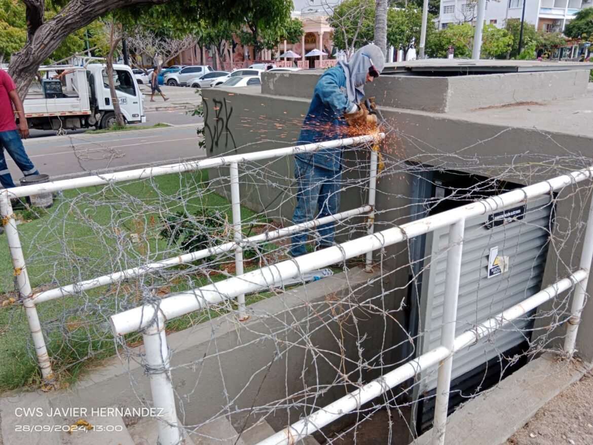 camellón La EDUS denunció acciones sistemáticas para dañar el Camellón. Señalan sabotajes por parte de ‘Fuerzas Oscuras’ al alumbrado, cuerdas y basuras acumuladas.