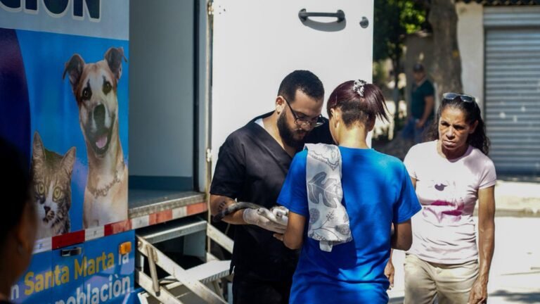 Santa Marta avanza en el bienestar animal con más de 400 esterilizaciones en cinco días