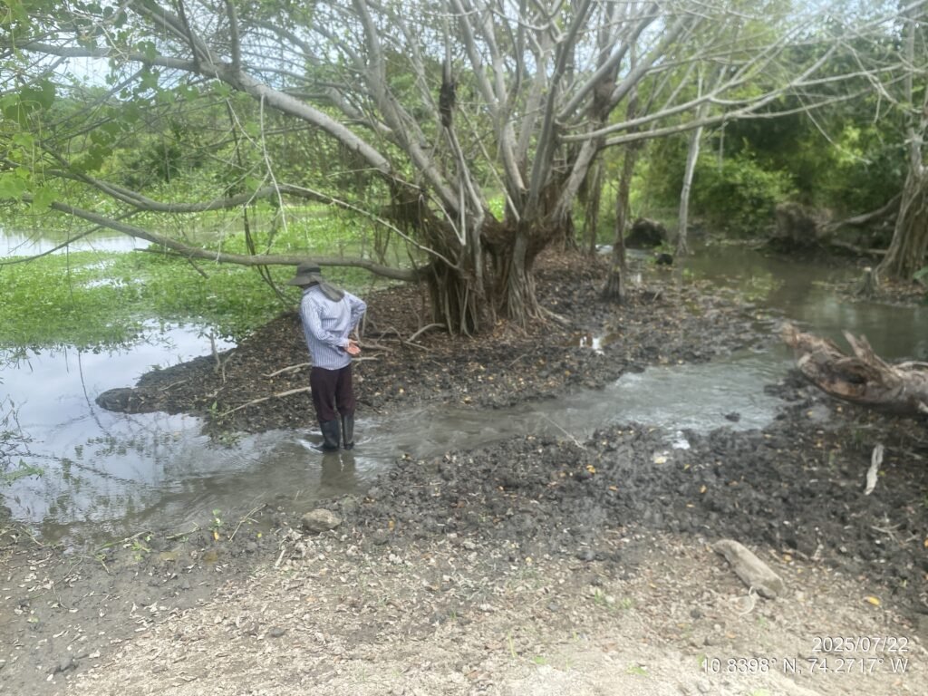 Corpamag lidera acciones para mitigar riesgo de desbordamiento del río Sevilla