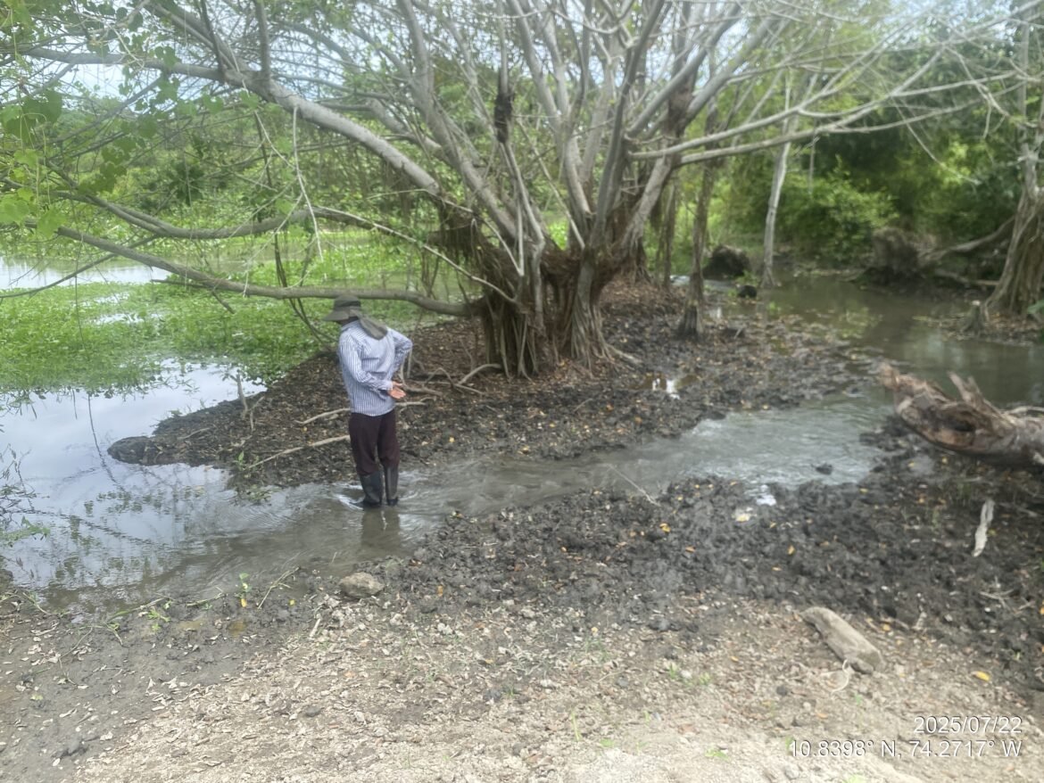 Corpamag (3) Corpamag encabezó una mesa técnica en el municipio de Zona Bananera, con el fin de definir estrategias que reduzcan el riesgo de desbordamiento del río Sevilla.