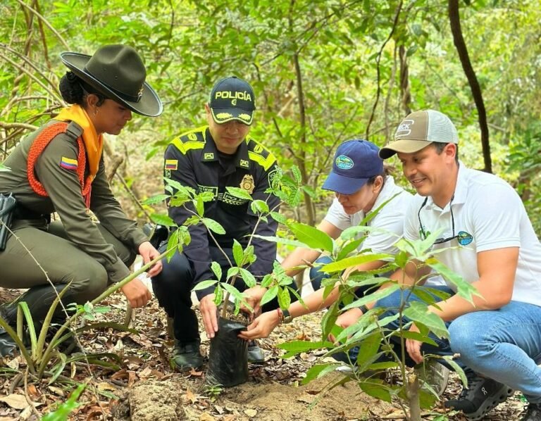 Corpamag impulsa la restauración ecológica del Magdalena con la siembra de más de 30 mil árboles