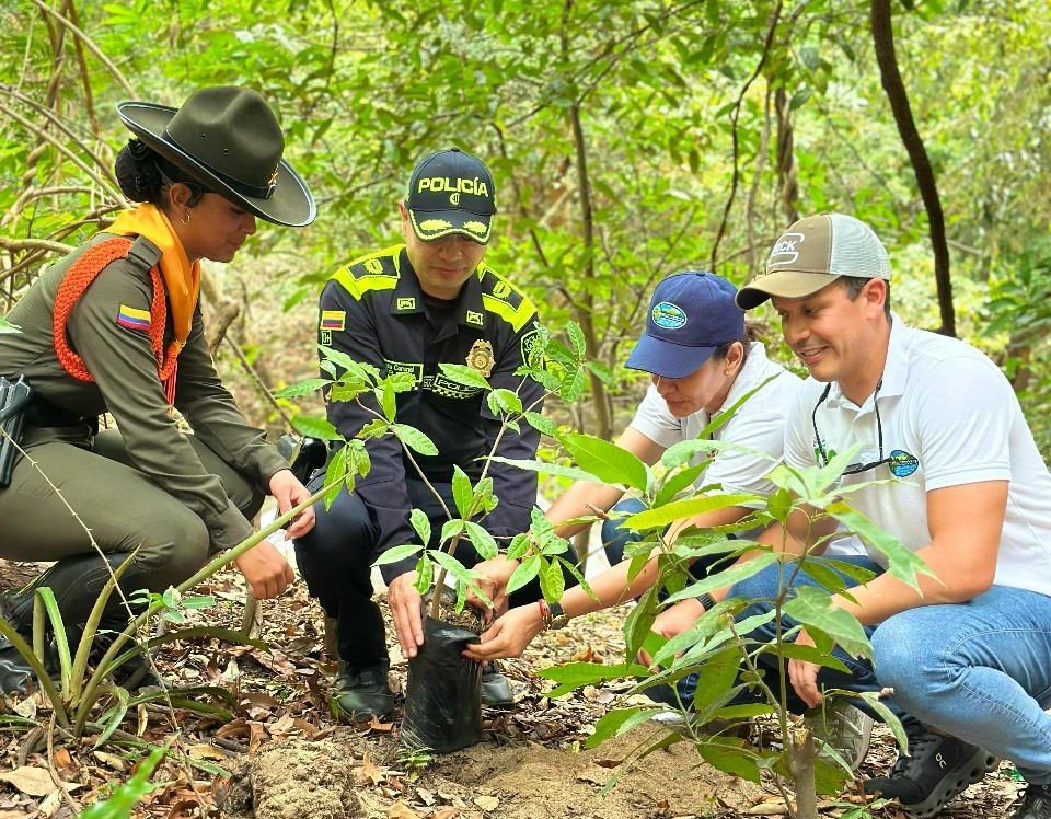 dIA DEL ARBOL 4 El compromiso de Corpamag trasciende la siembra. Cada árbol plantado representa una semilla de esperanza,