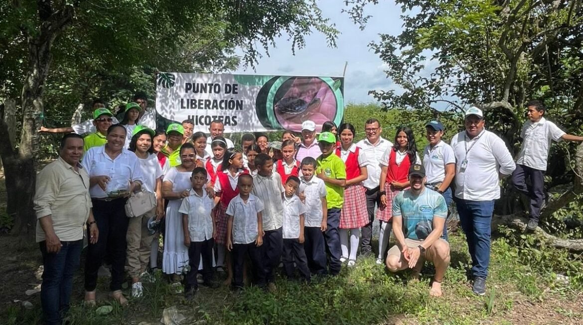 La liberación de las 1.300 hicoteas en la Ciénaga Caño Ciego reafirma el compromiso colectivo por proteger los ecosistemas del Magdalena
