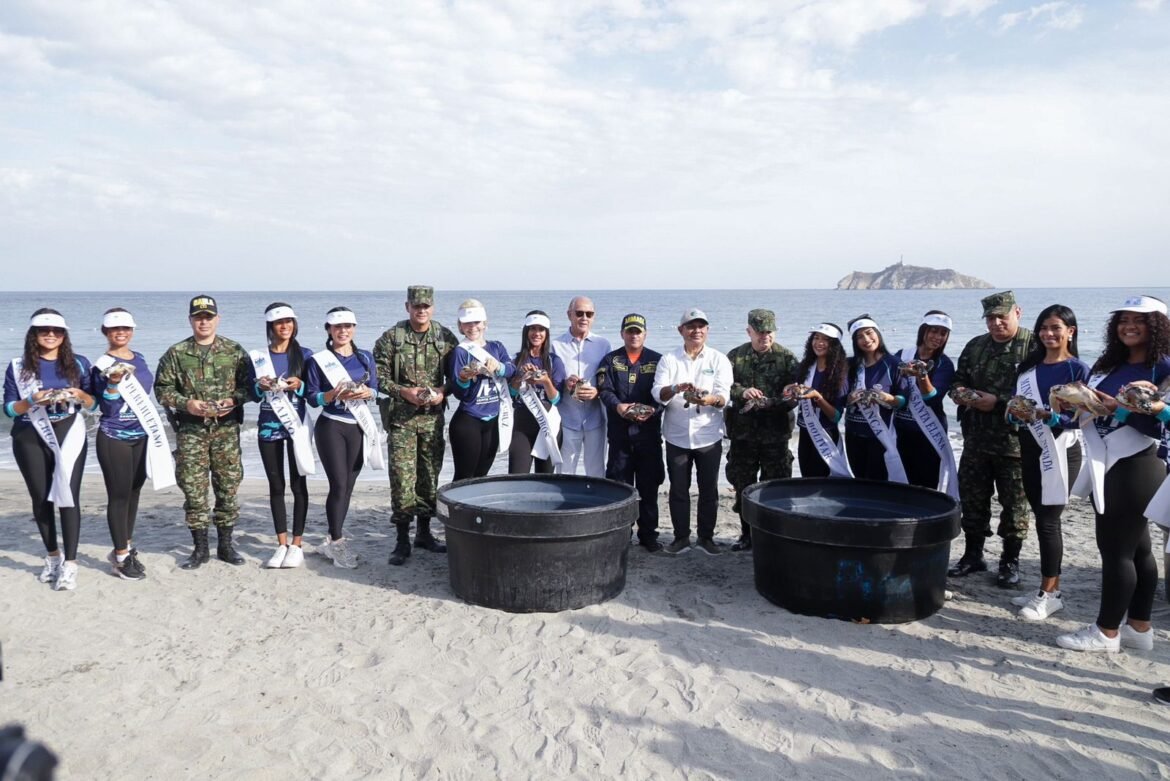 La jornada de liberación de tortugas marinas forma parte de la Agenda Azul Santa Marta 500 años