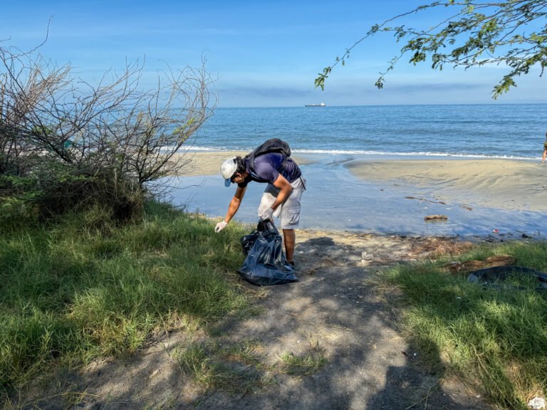 Santa Marta limpia sus playas para recibir la temporada de Fin de Año