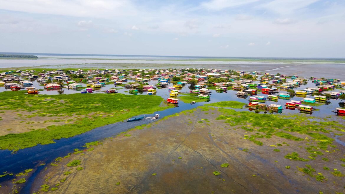 CORPAMAG culminó con éxito una fase clave en la lucha contra la expansión de la especie invasora Hydrilla verticillata en la Ciénaga Grande de Santa Marta.