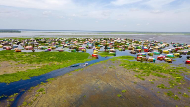 Corpamag recupera la Ciénaga Grande con remoción de Hydrilla