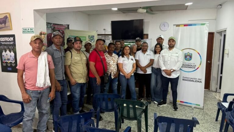 El Comité de Ganaderos del Magdalena transforma el campo con modelos de ganadería sostenibles en 250 fincas