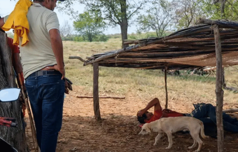 Reinciden invasiones en fincas del Magdalena: dos tomas al mismo predio encienden alarmas en el campo