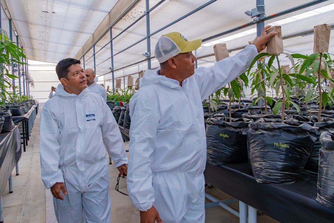 El rector Pablo Vera Salazar lideró la inauguración del Invernadero de Bioseguridad Tipo II, una obra que fortalece la investigación en la Universidad del Magdalena.