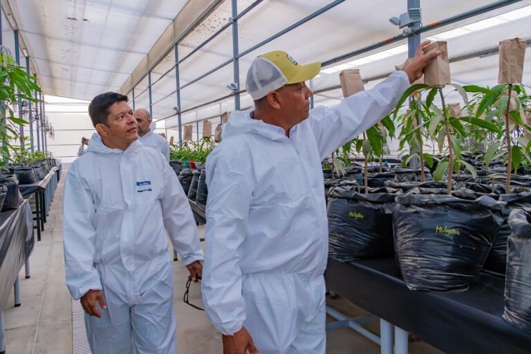 De la mano del rector Pablo Vera Salazar, Unimagdalena inaugura el primer Invernadero de Bioseguridad Tipo II en el Caribe colombiano