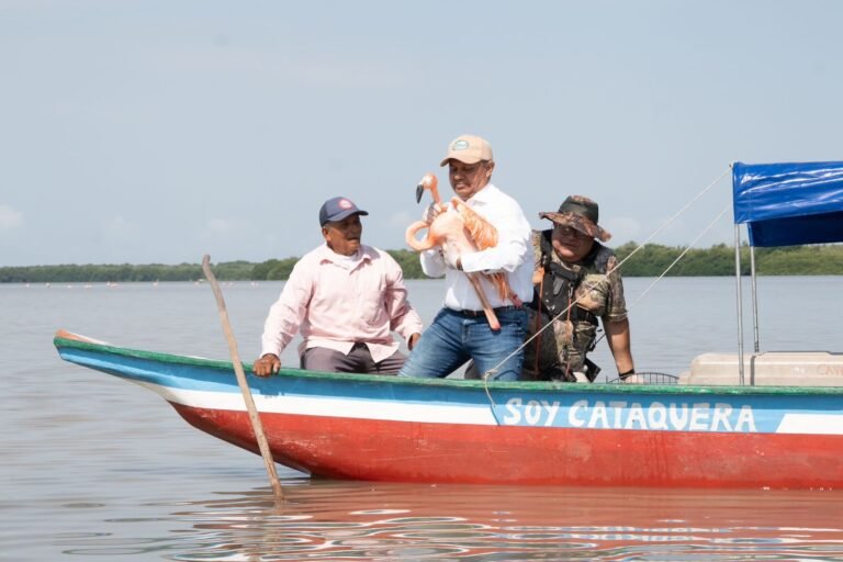 Corpamag envía un mensaje de protección ambiental al liberar ocho flamencos rosados en la Ciénaga Grande