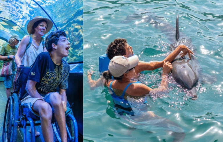 Desde Perú hasta Santa Marta: la historia de Illa y los delfines que transformaron su vida