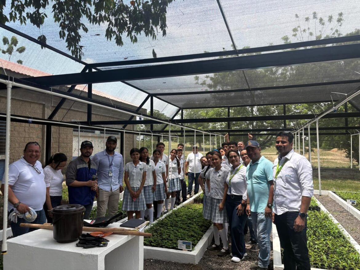 La implementación de paneles solares y riego automatizado por parte de Corpamag asegura que la producción forestal sea sostenible y autónoma en las zonas rurales del Magdalena.