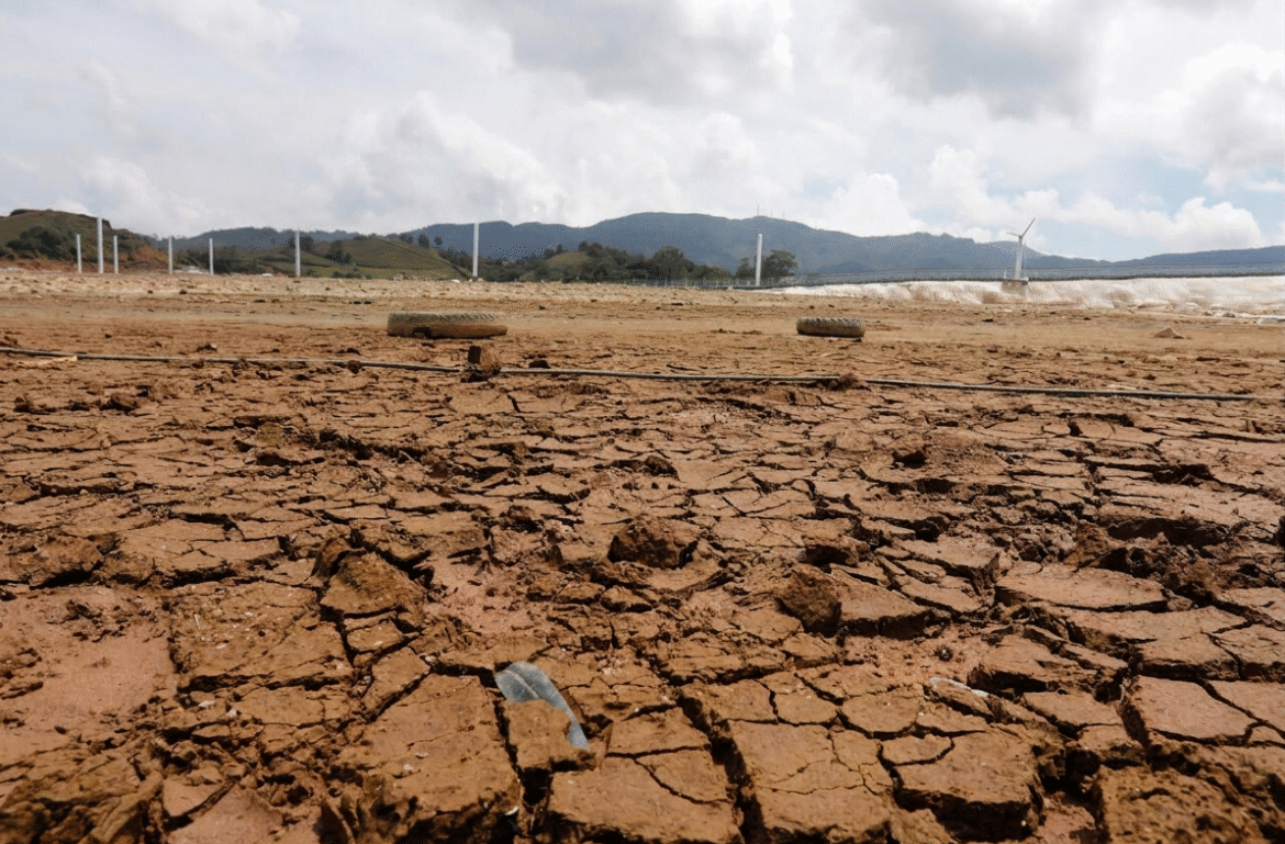 Expertos y gremios productivos insisten en la importancia de implementar planes de contingencia para mitigar las pérdidas en el sector agropecuario.